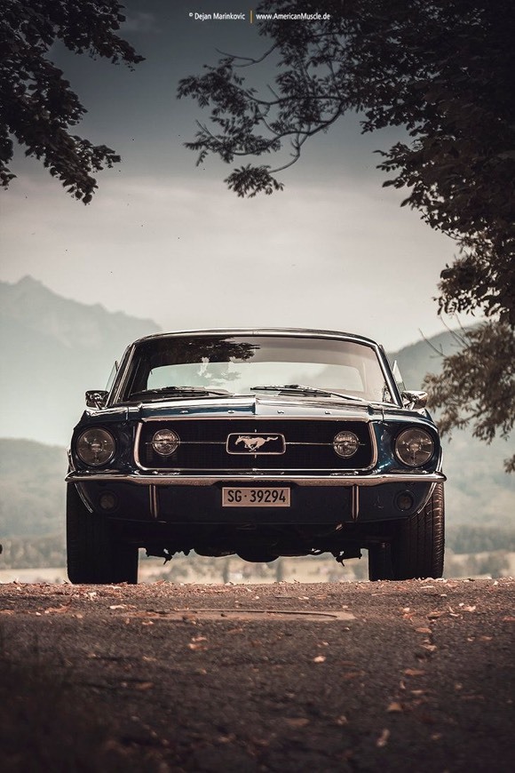 Fashion Ford Mustang Coupe V