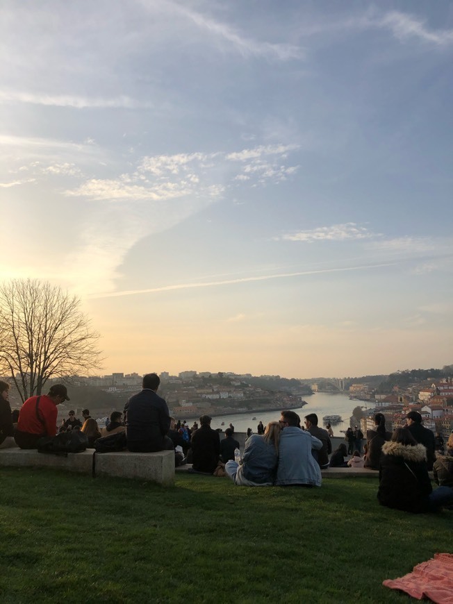 Place Jardim do Morro