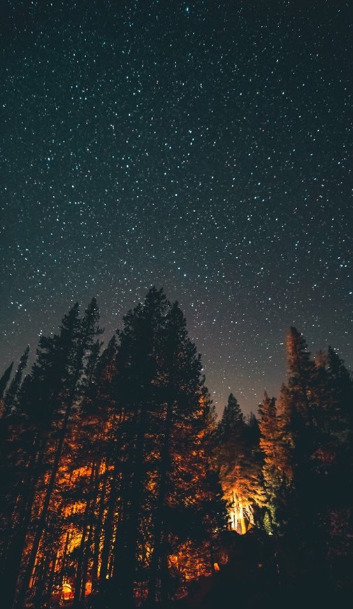 Social Wallpaper 🤩