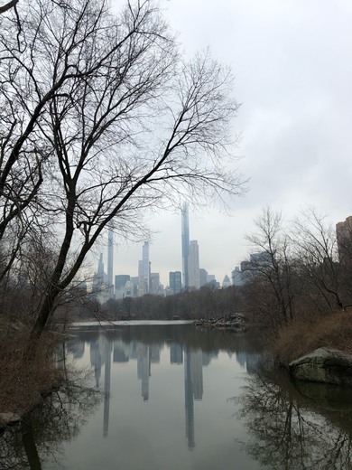 Central Park