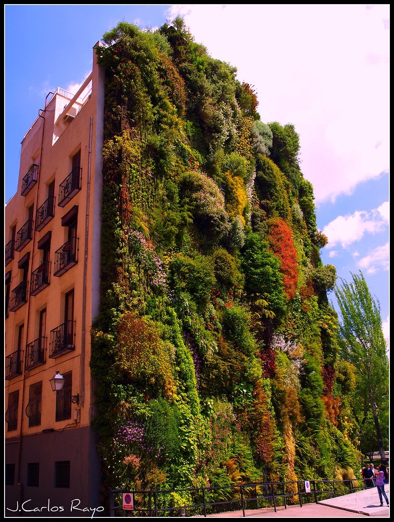 Place Jardín Vertical Caixaforum