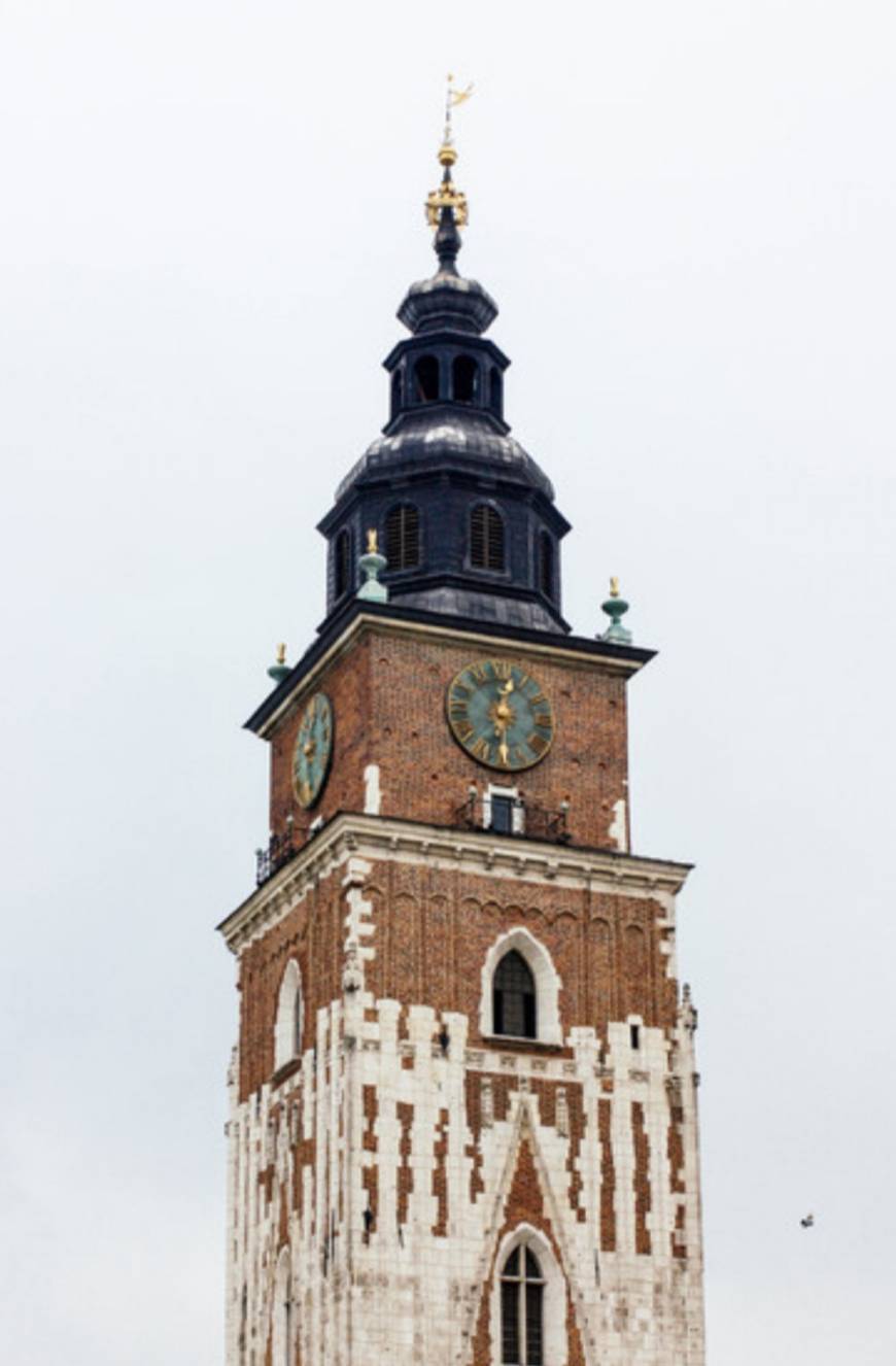 Lugar Town Hall Tower