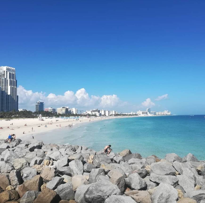Lugar South Pointe Park Pier