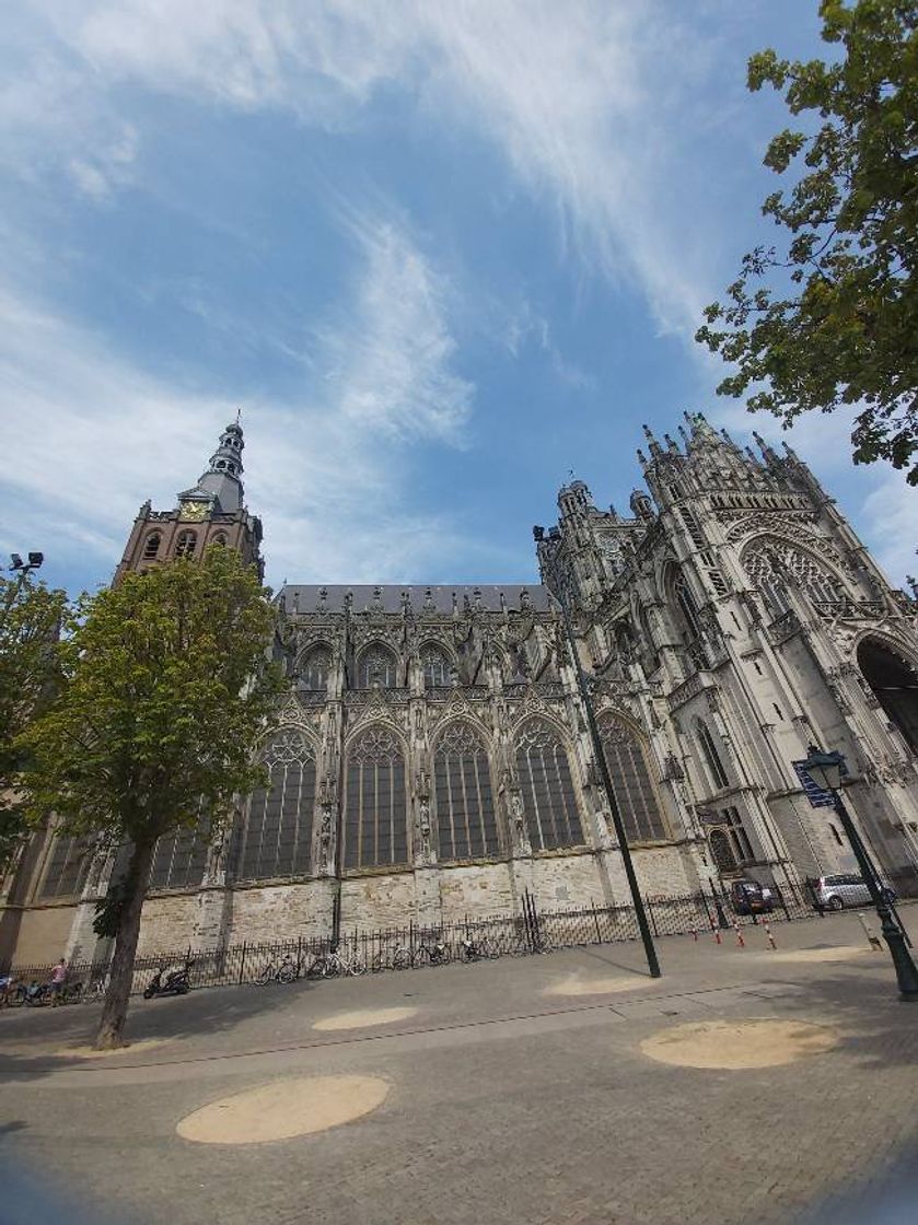 Place Hertogenbosch ('s)