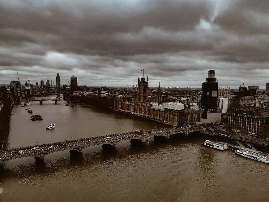 Place London Eye