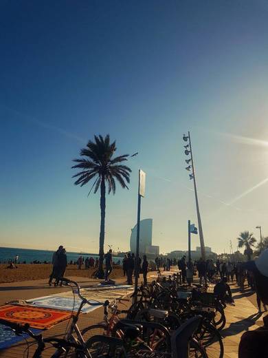 La Barceloneta