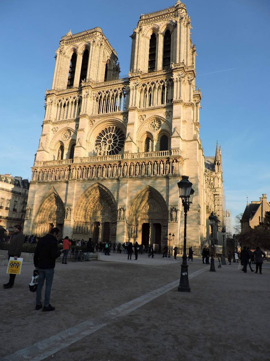 Place Notre Dame