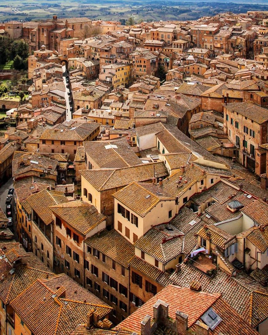 Siena