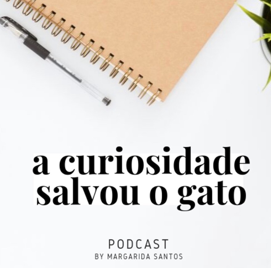 Fashion A curiosidade salvou o gato