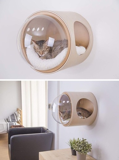 cama para gato