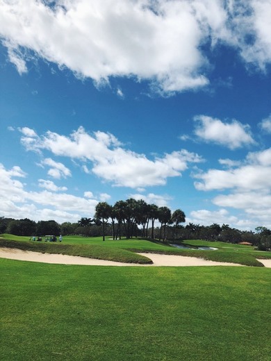 Old Palm Golf Club