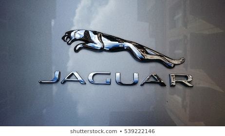 Fashion Jaguar logo