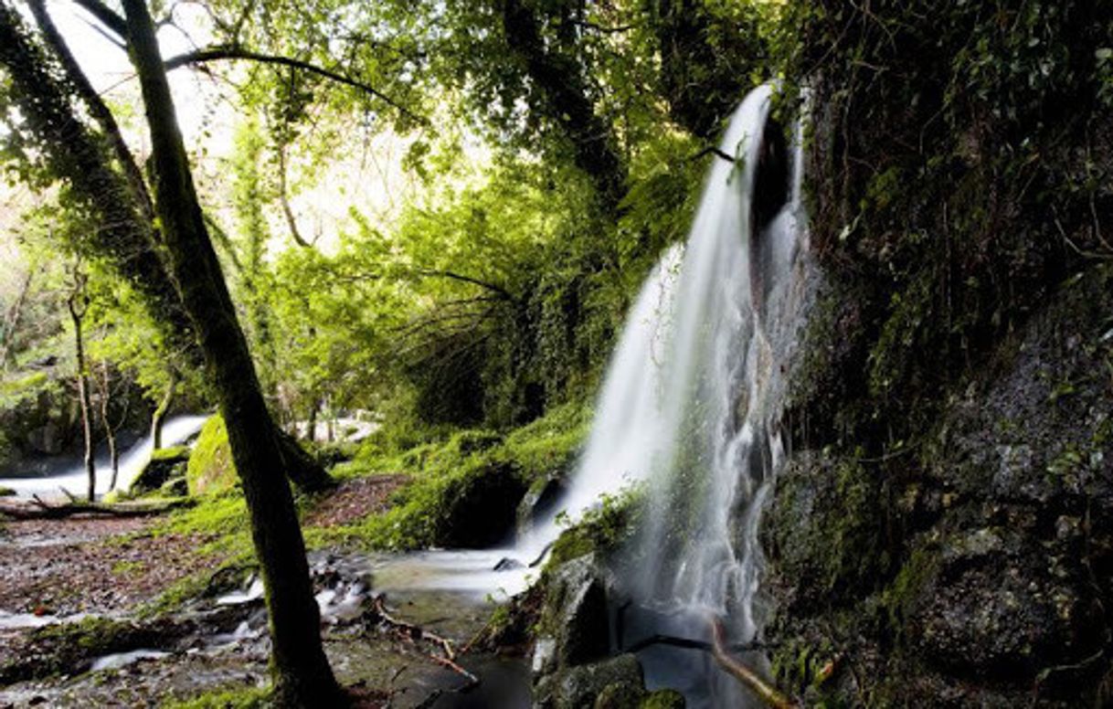 Place Barragem de Queimadela - Câmara Municipal Fafe