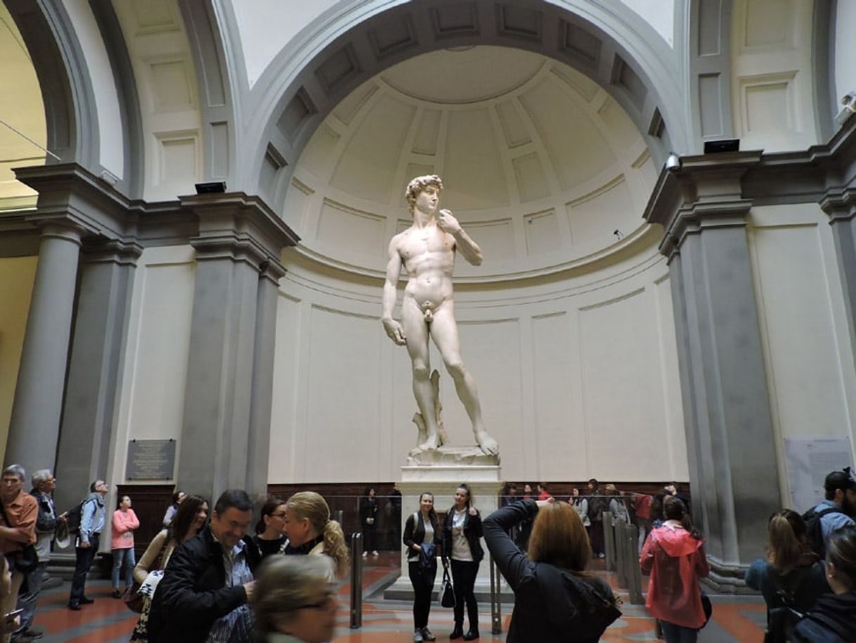 Lugar Galleria dell'Accademia di Firenze