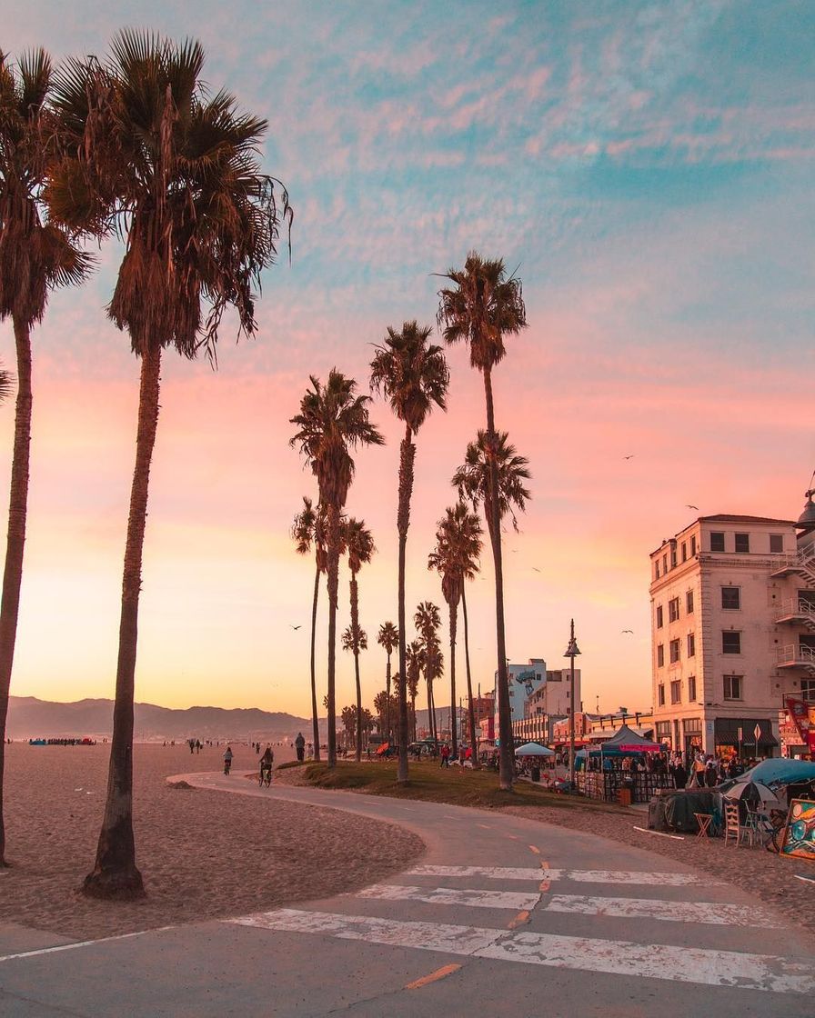 Place Venice Beach