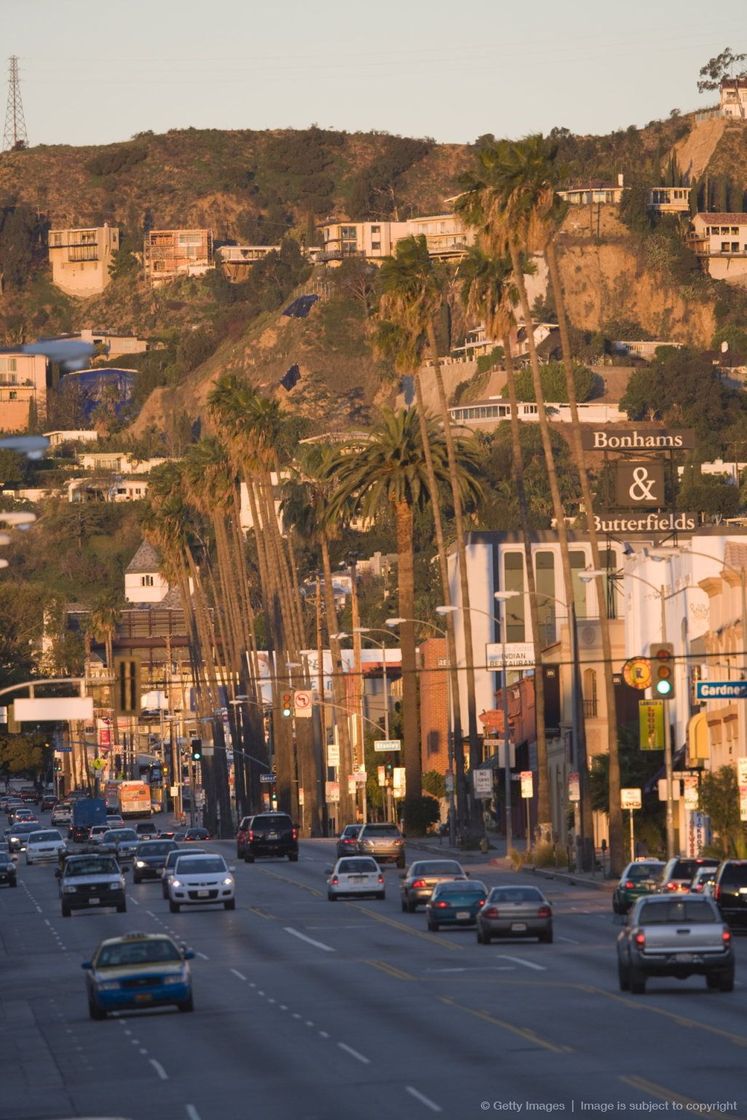 Place Sunset Boulevard