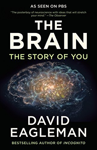 Book The Brain