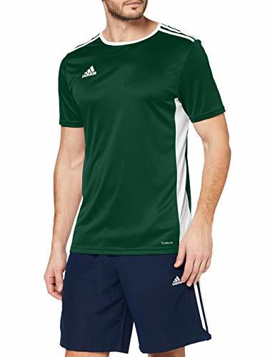 Social adidas Entrada 18 JSY Camiseta de Manga Corta, Hombre, Verde