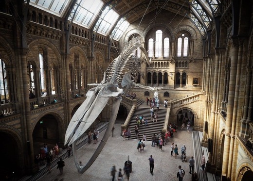 Natural History Museum