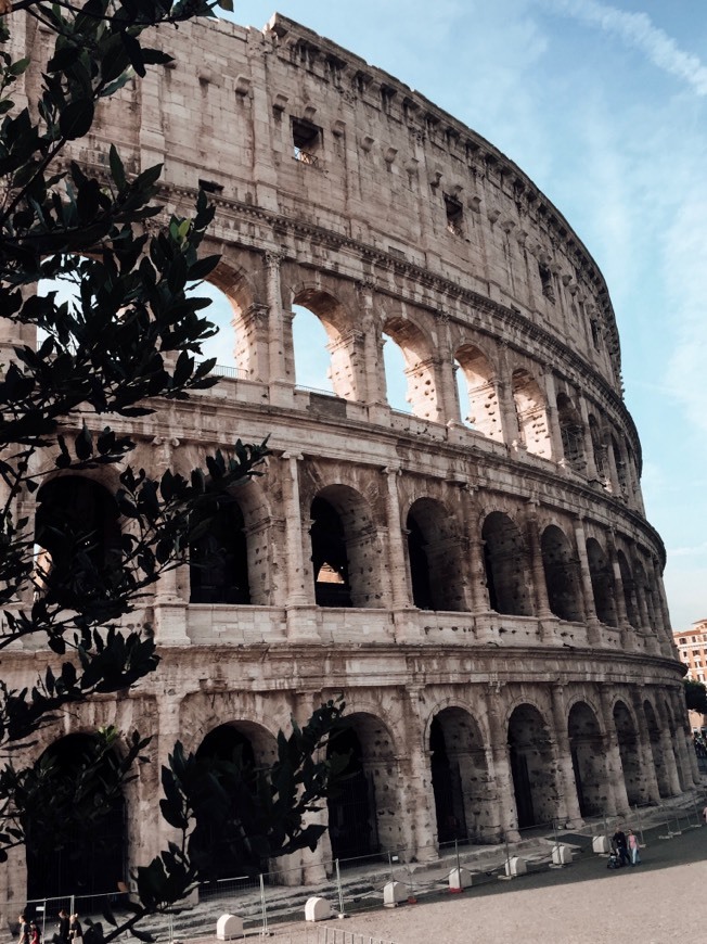 Place Coliseo de Roma