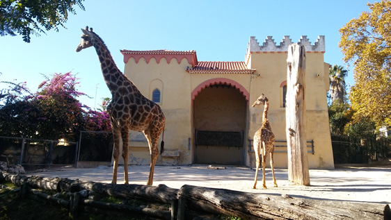 Lugar Jardim Zoológico