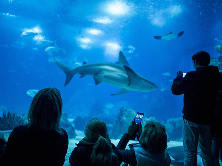 Lugar Oceanário de Lisboa