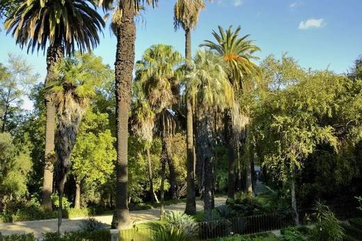 Jardín Botánico de la Universidad de Lisboa