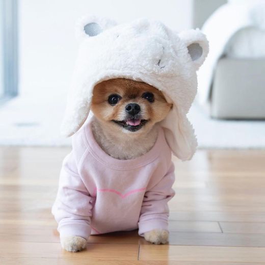 JiffPom