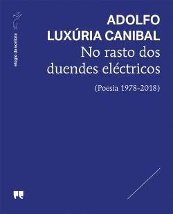 Book No rasto dos duendes eléctricos