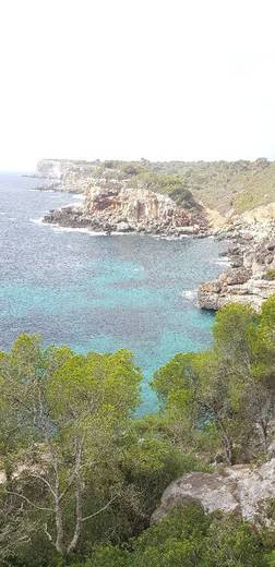 Palma de Mallorca