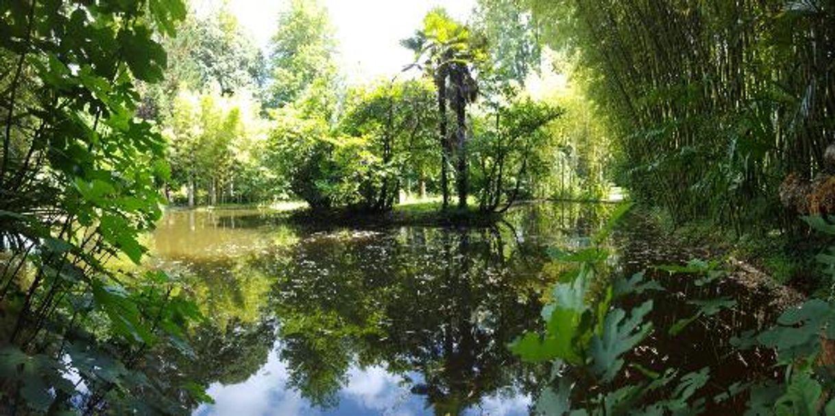 Lugar Parque Natural del Señorío de Bertiz