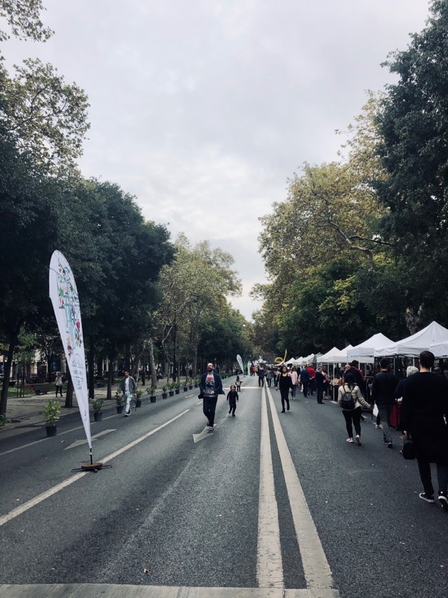 Lugar Avenida da Liberdade