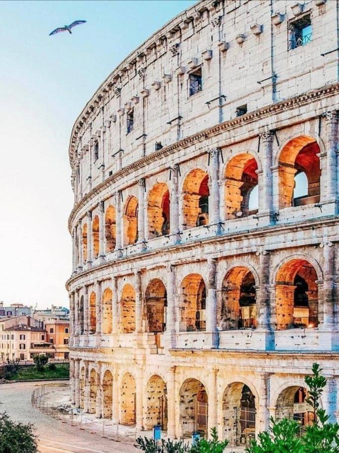 Lugar Coliseo de Roma