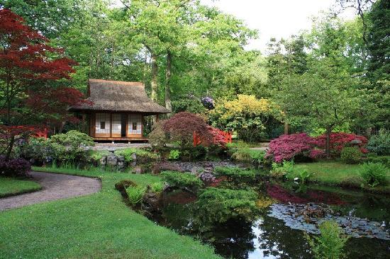 Lugar Japanese garden