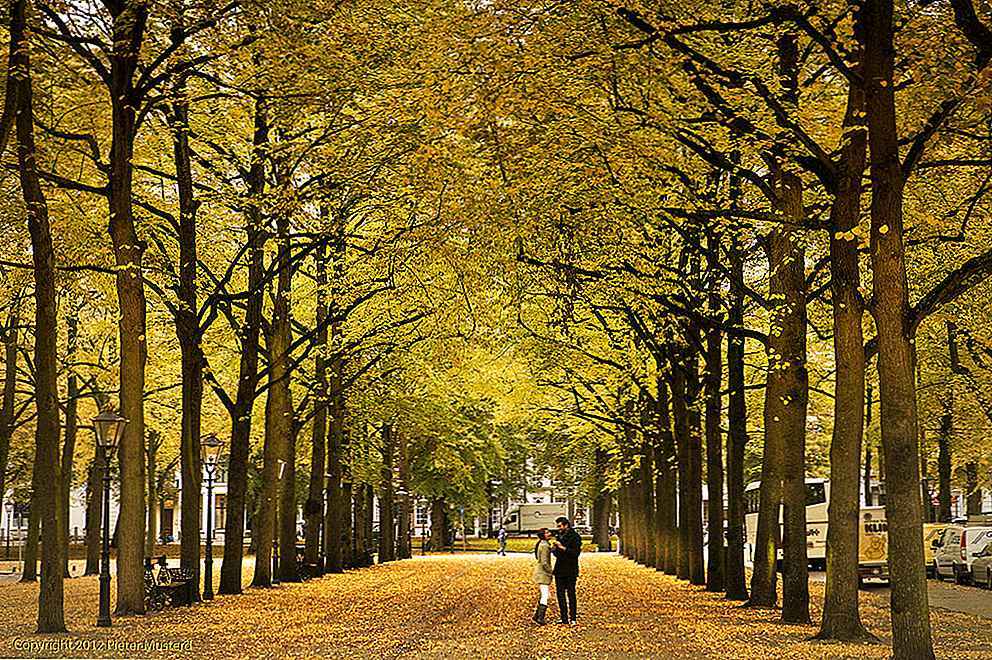 Place Lange Voorhout