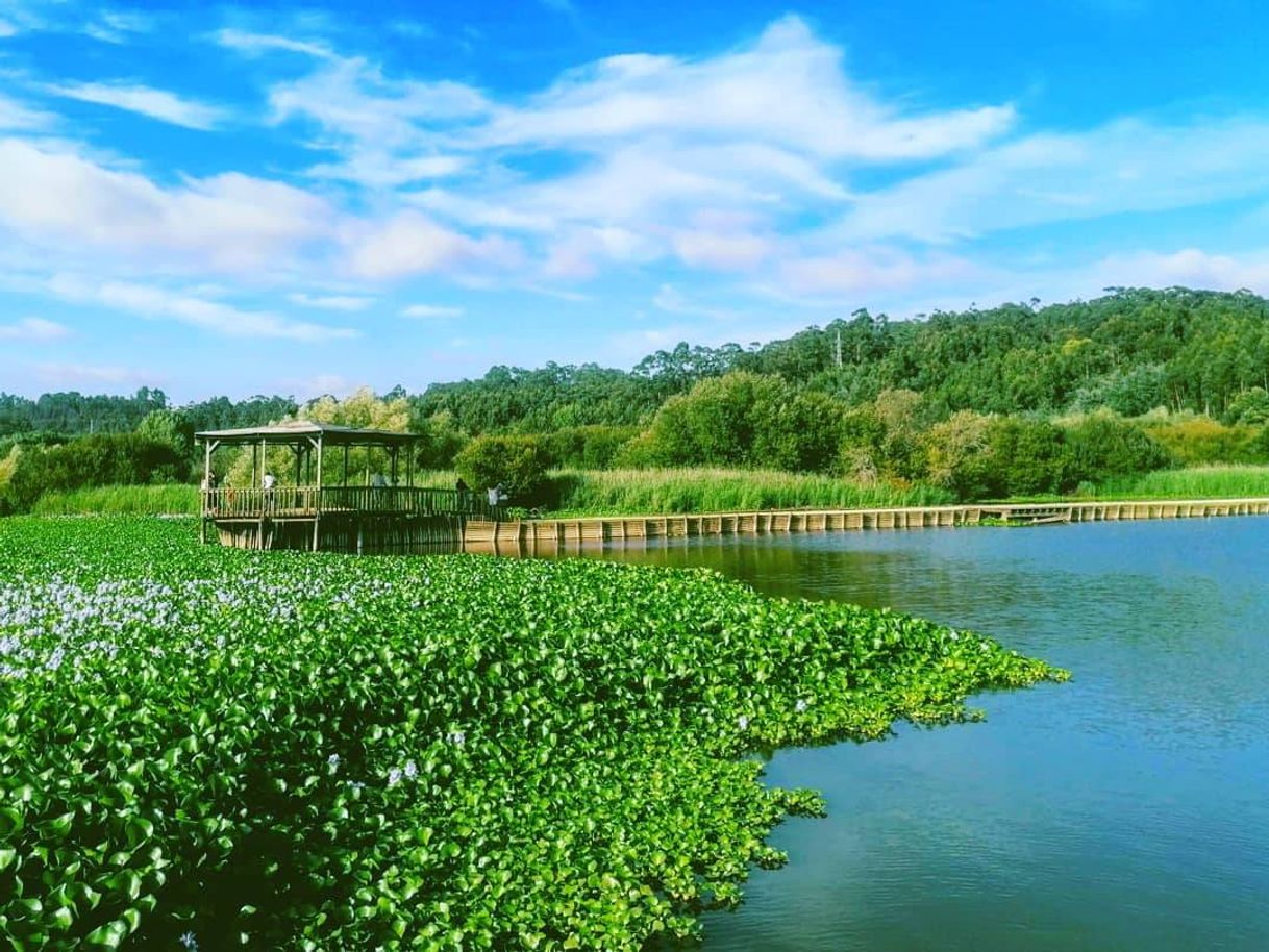 Social Pateira de Espinhel 