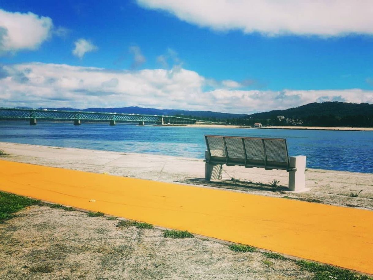 Social Viana do Castelo 