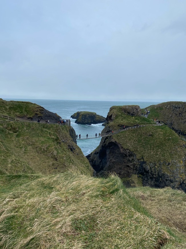 Place Carrick-A-Rede Rope Bridge