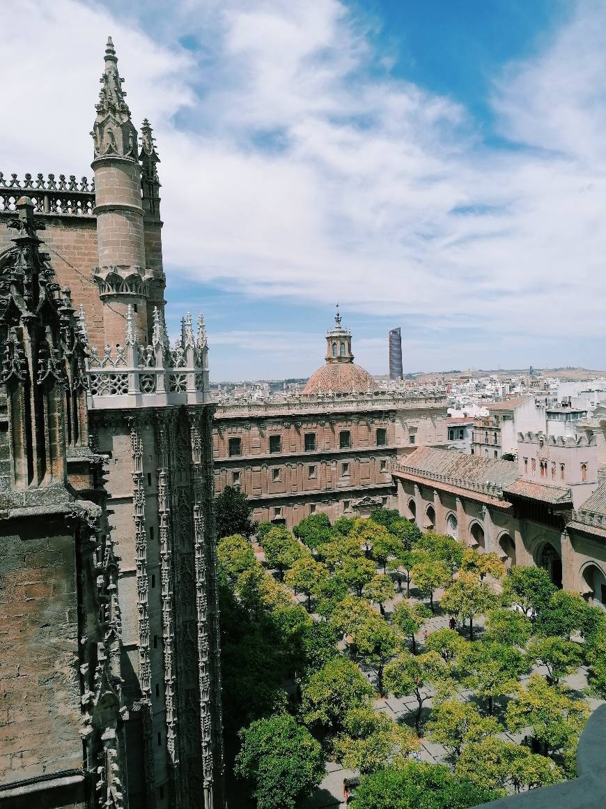 Lugar Catedral de Sevilla