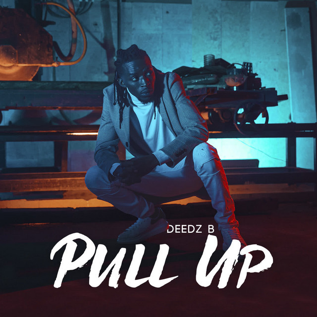 Canción Pull Up