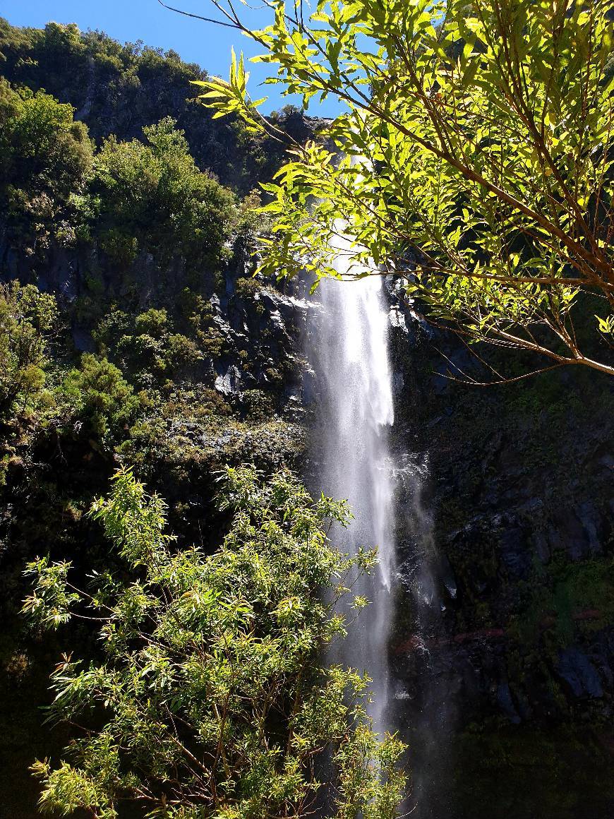 Place Madeira