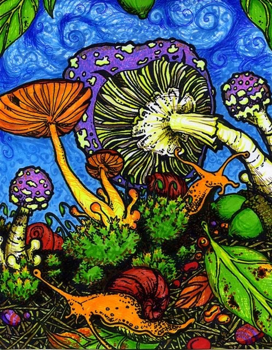 Moda mushroom art 