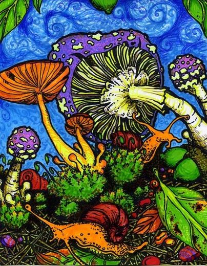 mushroom art 