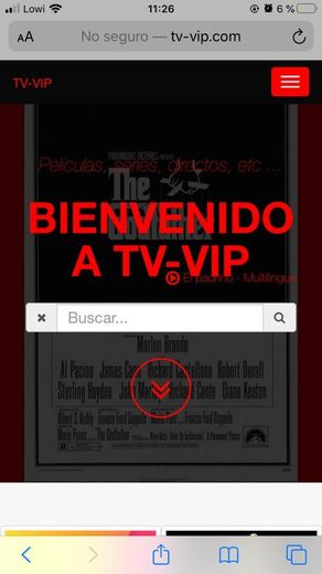 tv-vip.com 