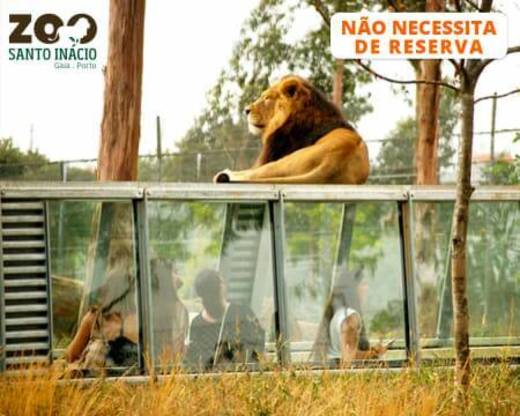 Zoo Santo Inácio 🦁