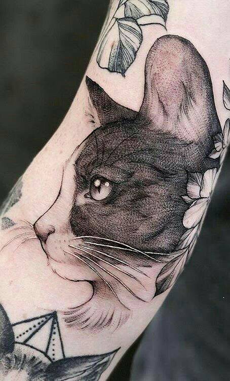 Social Tatuagem 