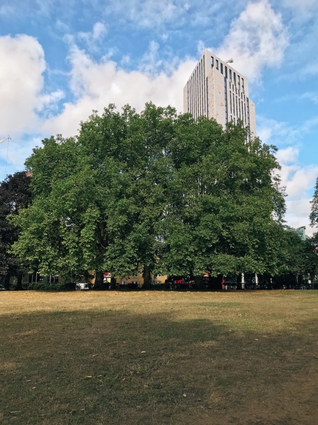 Lugar Vauxhall Park