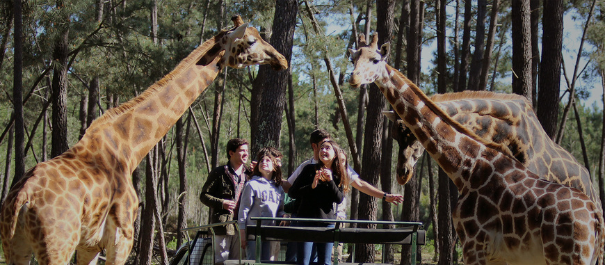 Places Badoca Safari park