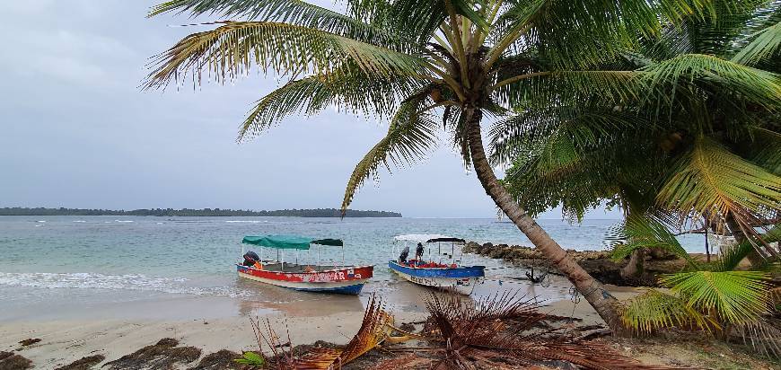 Place Bocas del Toro