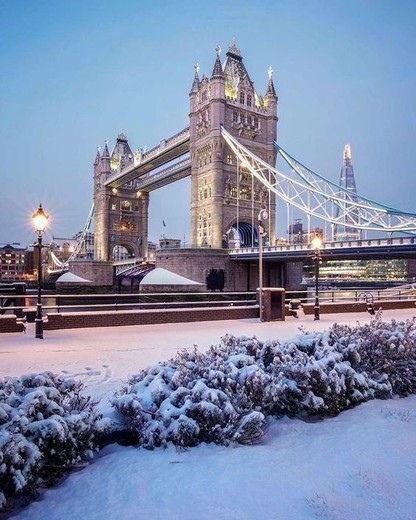 Tower Bridge 